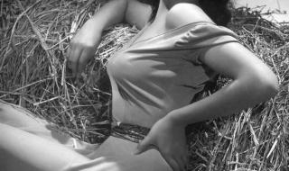 最新好莱坞大片 最新好莱坞大片